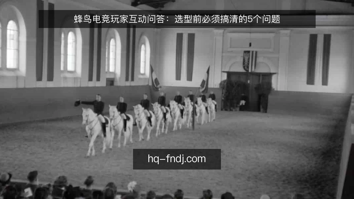 蜂鸟电竞玩家互动问答：选型前必须搞清的5个问题
