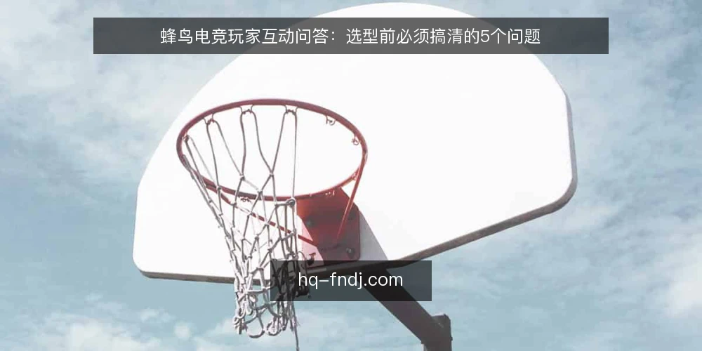 蜂鸟电竞玩家互动问答:选型前必须搞清的5个问题 — 蜂鸟电竞玩家互动的核心需求是什么? 配图