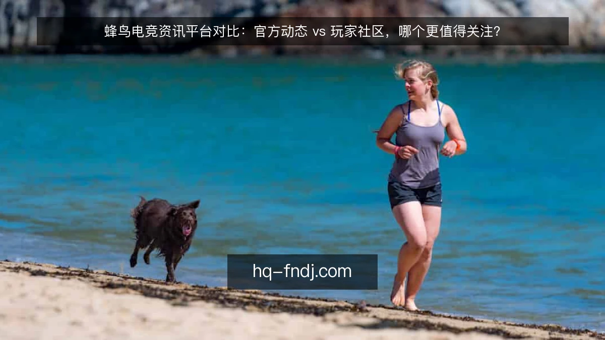 蜂鸟电竞资讯平台对比：官方动态 vs 玩家社区，哪个更值得关注？