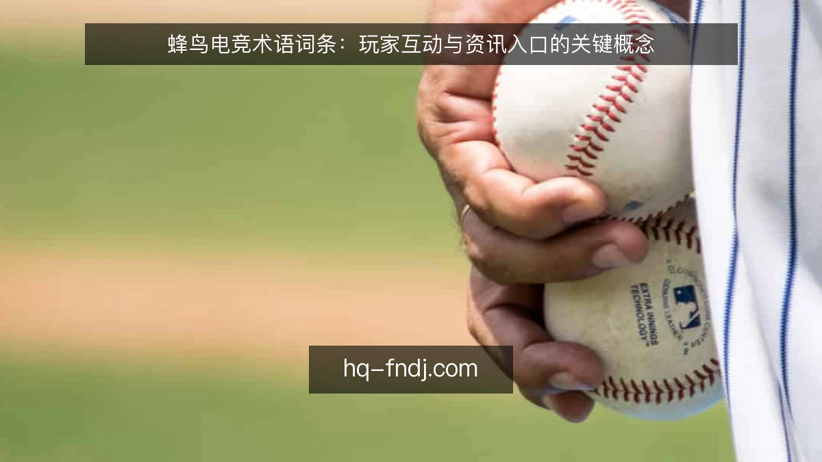蜂鸟电竞术语词条：玩家互动与资讯入口的关键概念