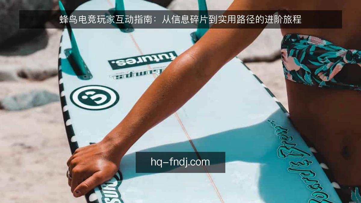 蜂鸟电竞玩家互动指南：从信息碎片到实用路径的进阶旅程
