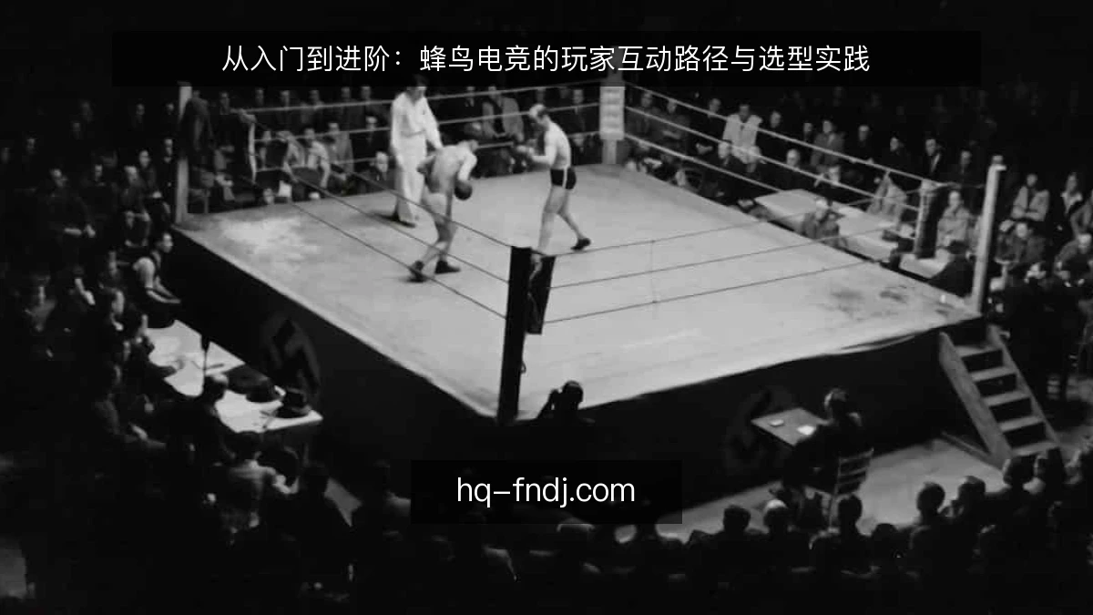 从入门到进阶：蜂鸟电竞的玩家互动路径与选型实践