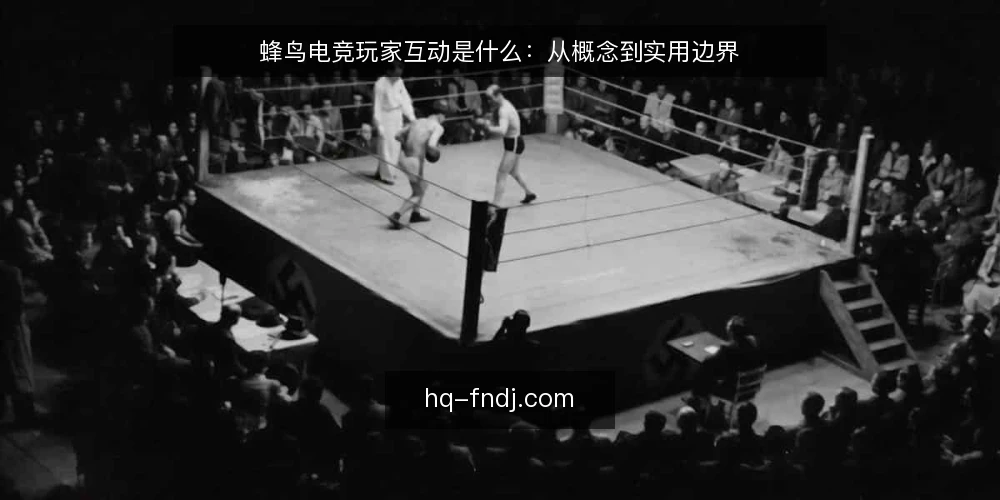 蜂鸟电竞玩家互动是什么：从概念到实用边界 — 玩家互动的定义与误区 配图