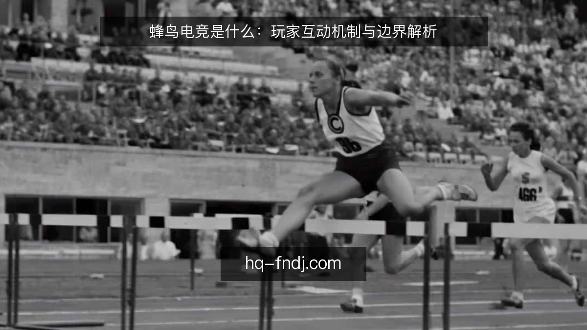 蜂鸟电竞是什么：玩家互动机制与边界解析