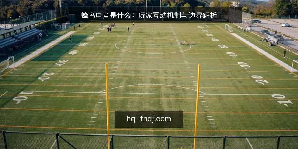 蜂鸟电竞是什么:玩家互动机制与边界解析 — 玩家互动困惑从何而来 配图
