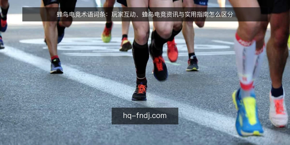 蜂鸟电竞术语词条:玩家互动、蜂鸟电竞资讯与实用指南怎么区分 — 先厘清术语边界 配图