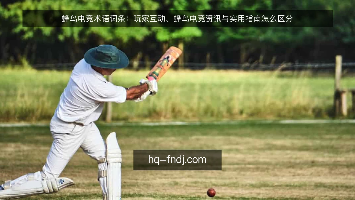 蜂鸟电竞术语词条:玩家互动、蜂鸟电竞资讯与实用指南怎么区分